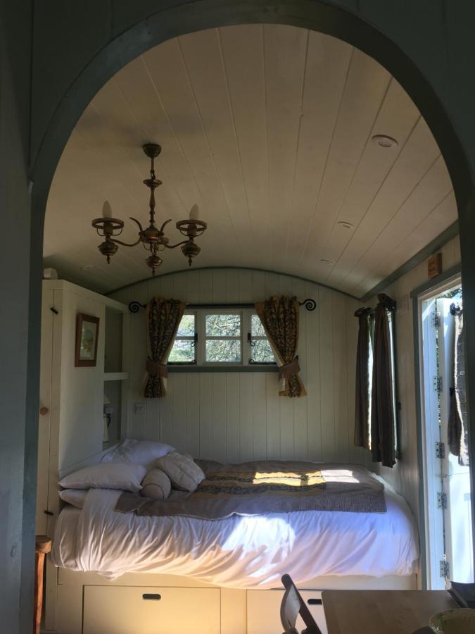 Posh Huts Farmstay Falstone Ngoại thất bức ảnh