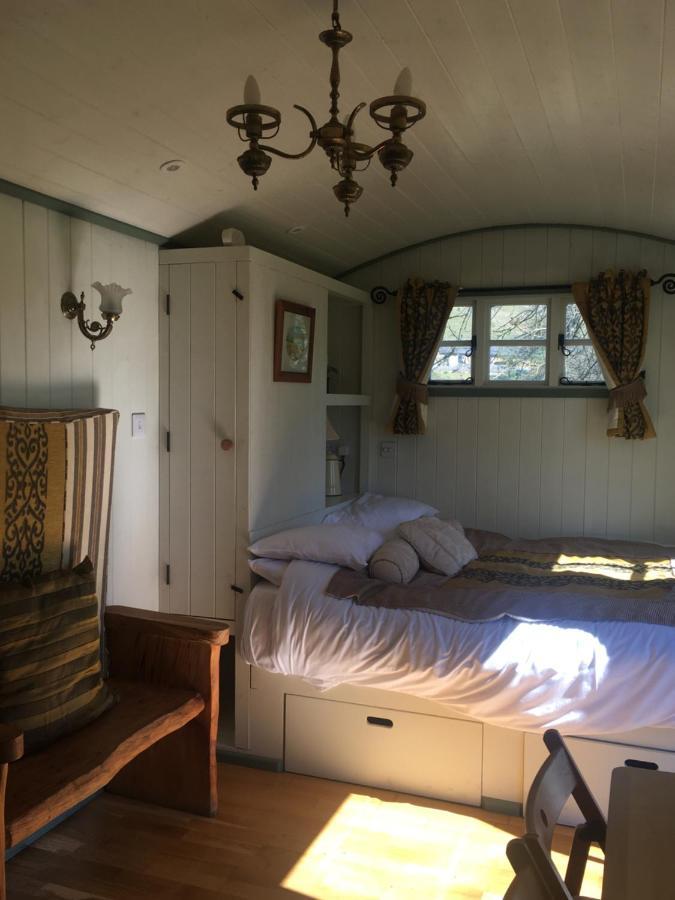 Posh Huts Farmstay Falstone Ngoại thất bức ảnh